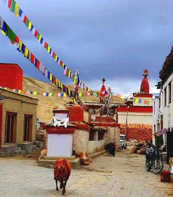 upper-mustang-trekking...