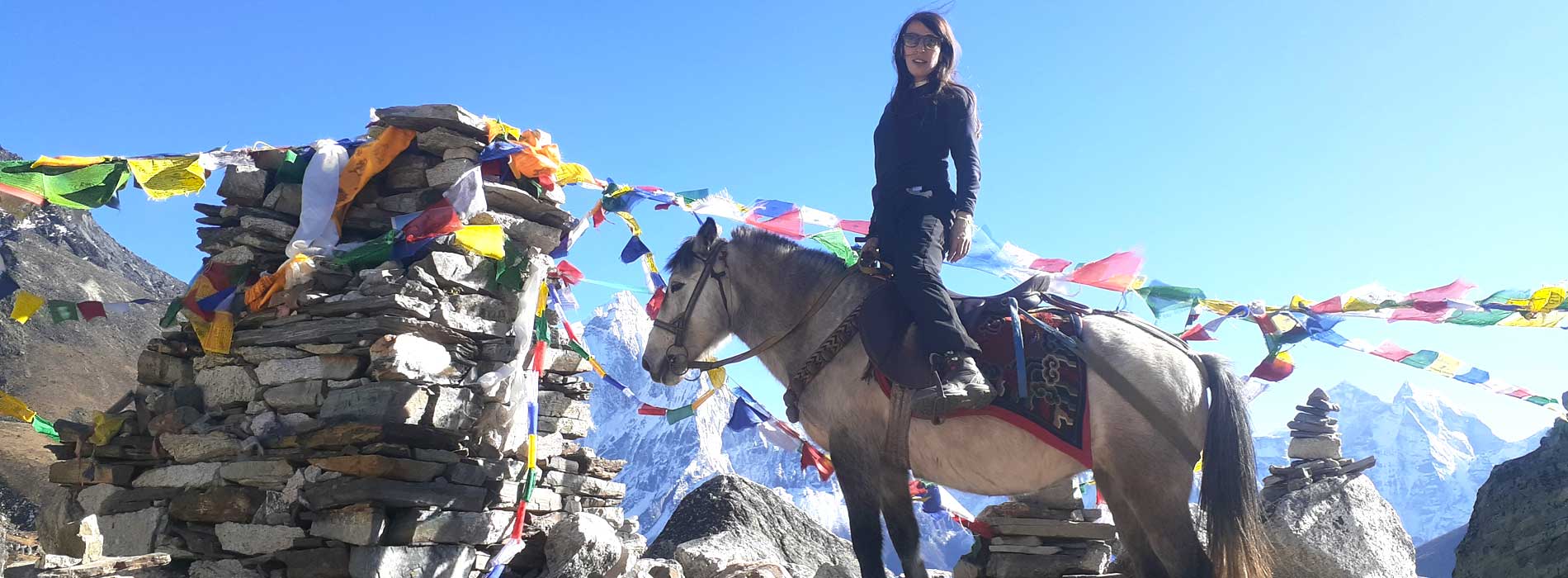 everest-base-camp-horse 