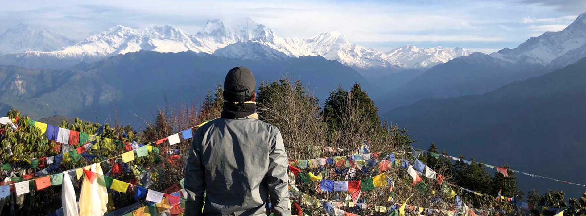 ghorepani-poon-hill-trek 