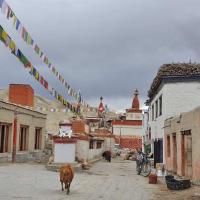 mustang-nepal 